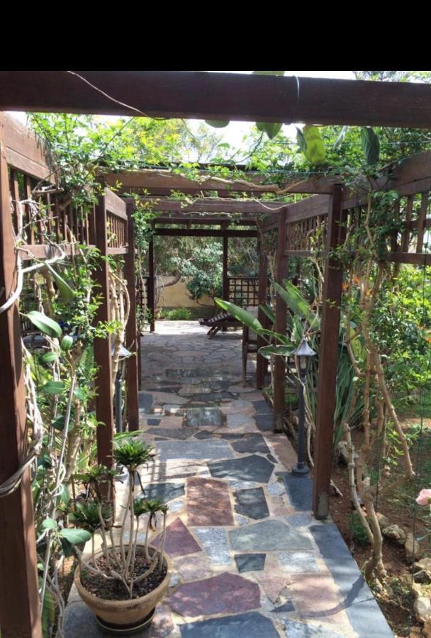 Villa Natalia 아이아 나파 외부 사진
