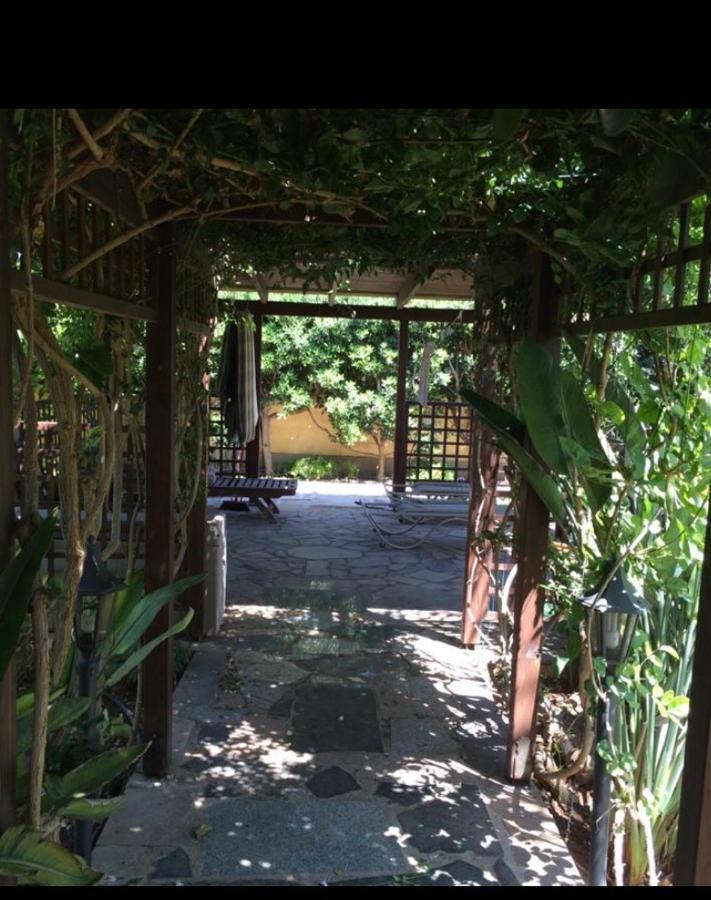 Villa Natalia 아이아 나파 외부 사진